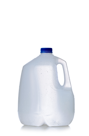 1 gallon jug